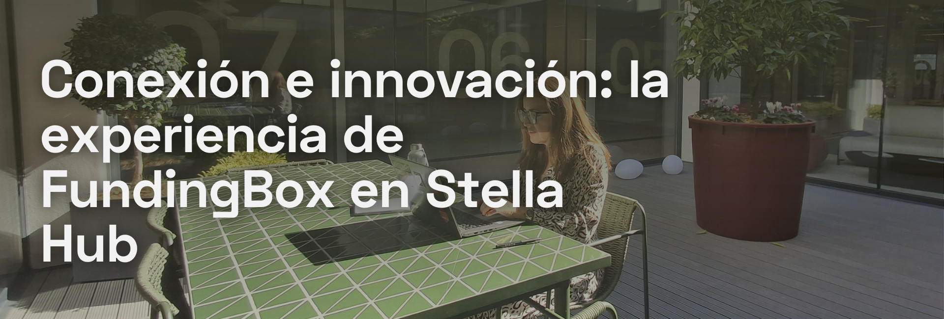 Clientes en Stella Hub