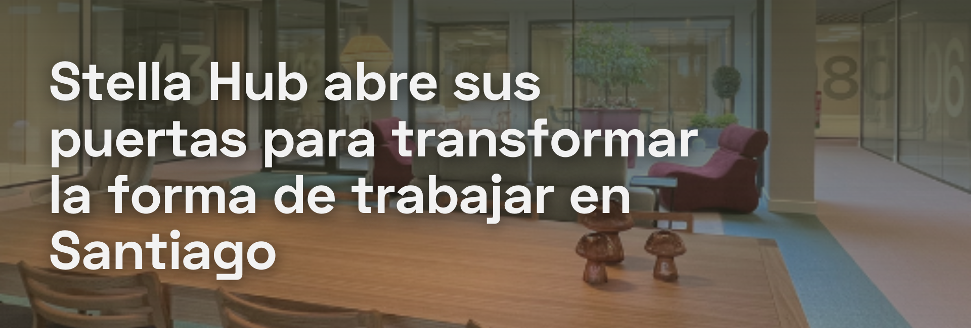 Stella Hub Inauguración - Blog